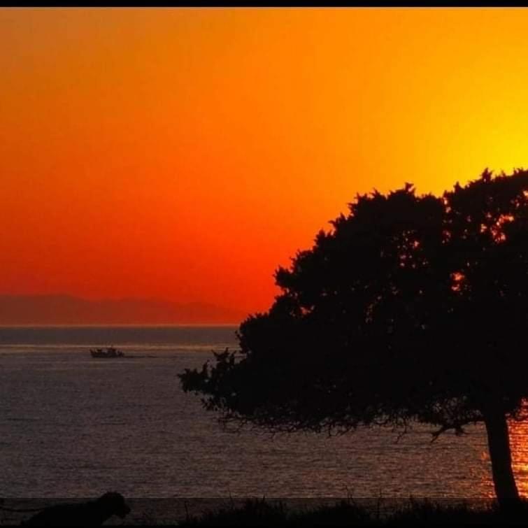 Sunset & *