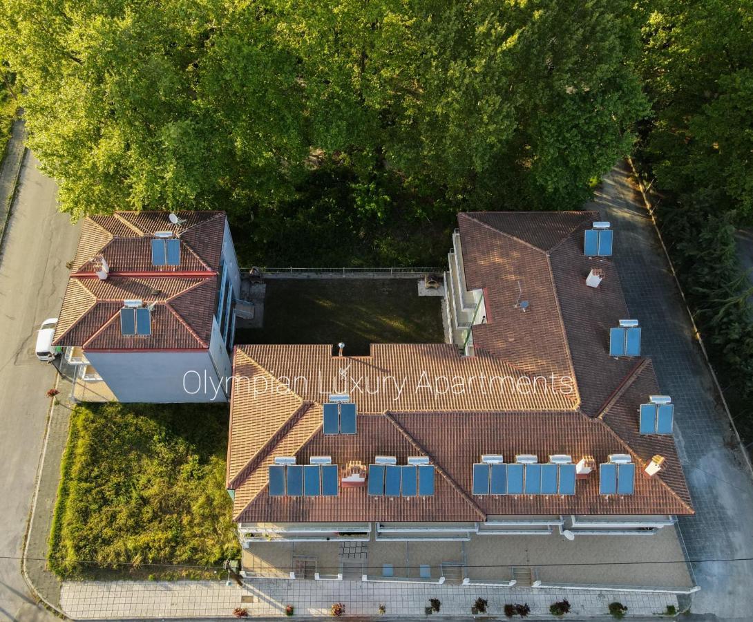 Apartment Olympian Luxury