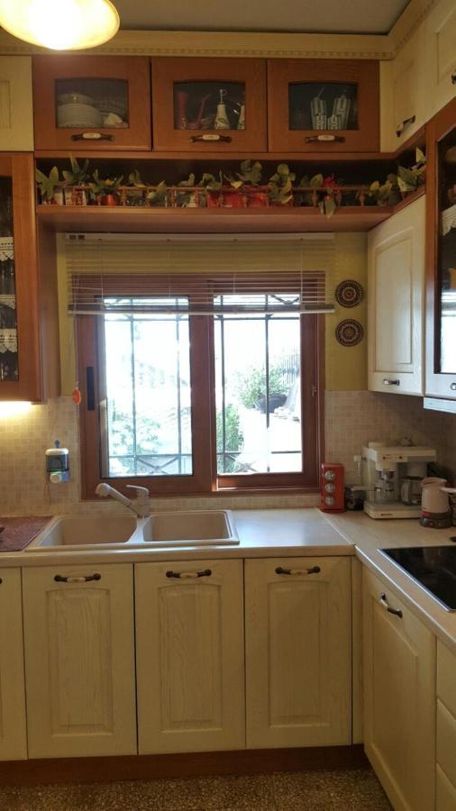 Mansion Alexandri Apartment