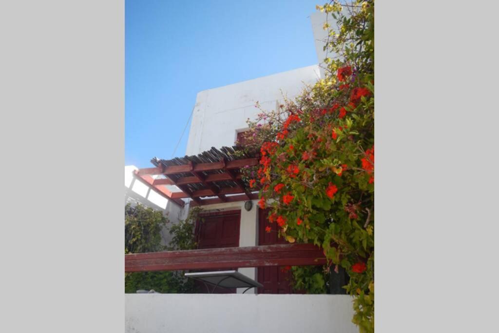 The Red-fish House *