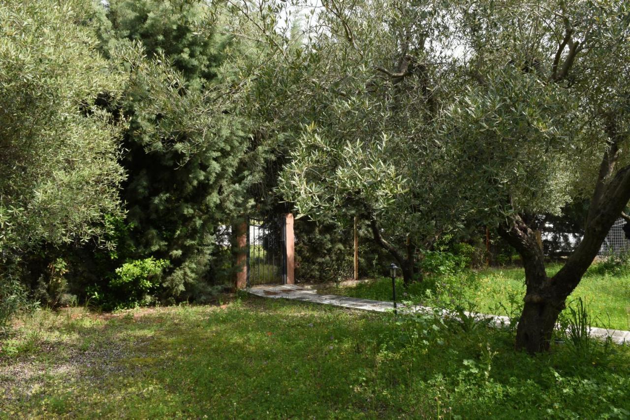 Holiday home Tripotamos Chalkidiki