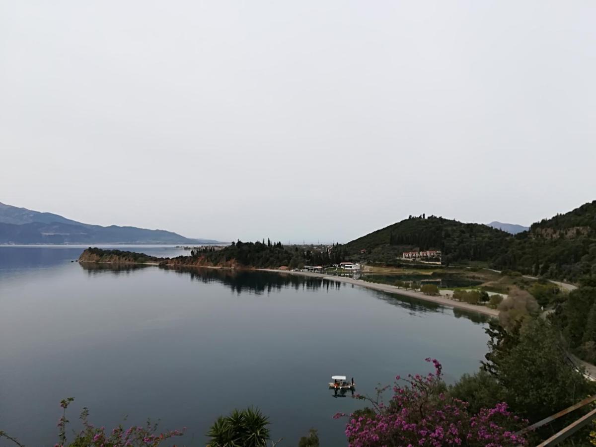 Thea * Monastiraki (Phocis)