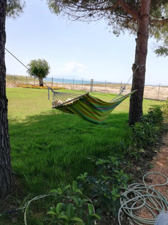 Aster House Holiday home *