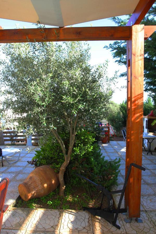 Ariadni Familie House * Sellia (Rethymno)