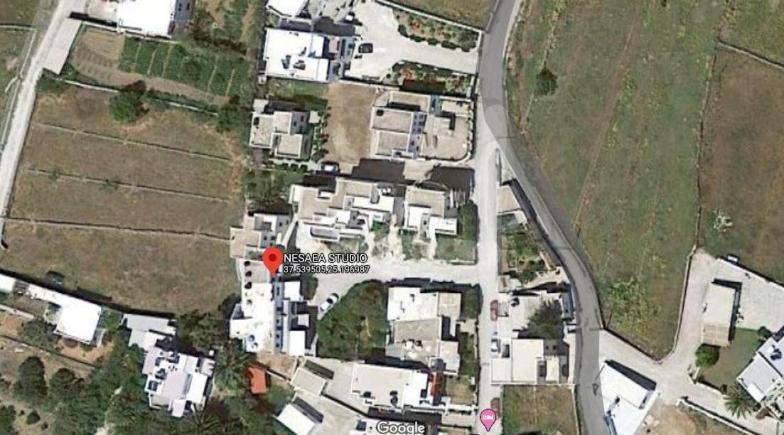 Nesaea Agios Sostis (Tinos)