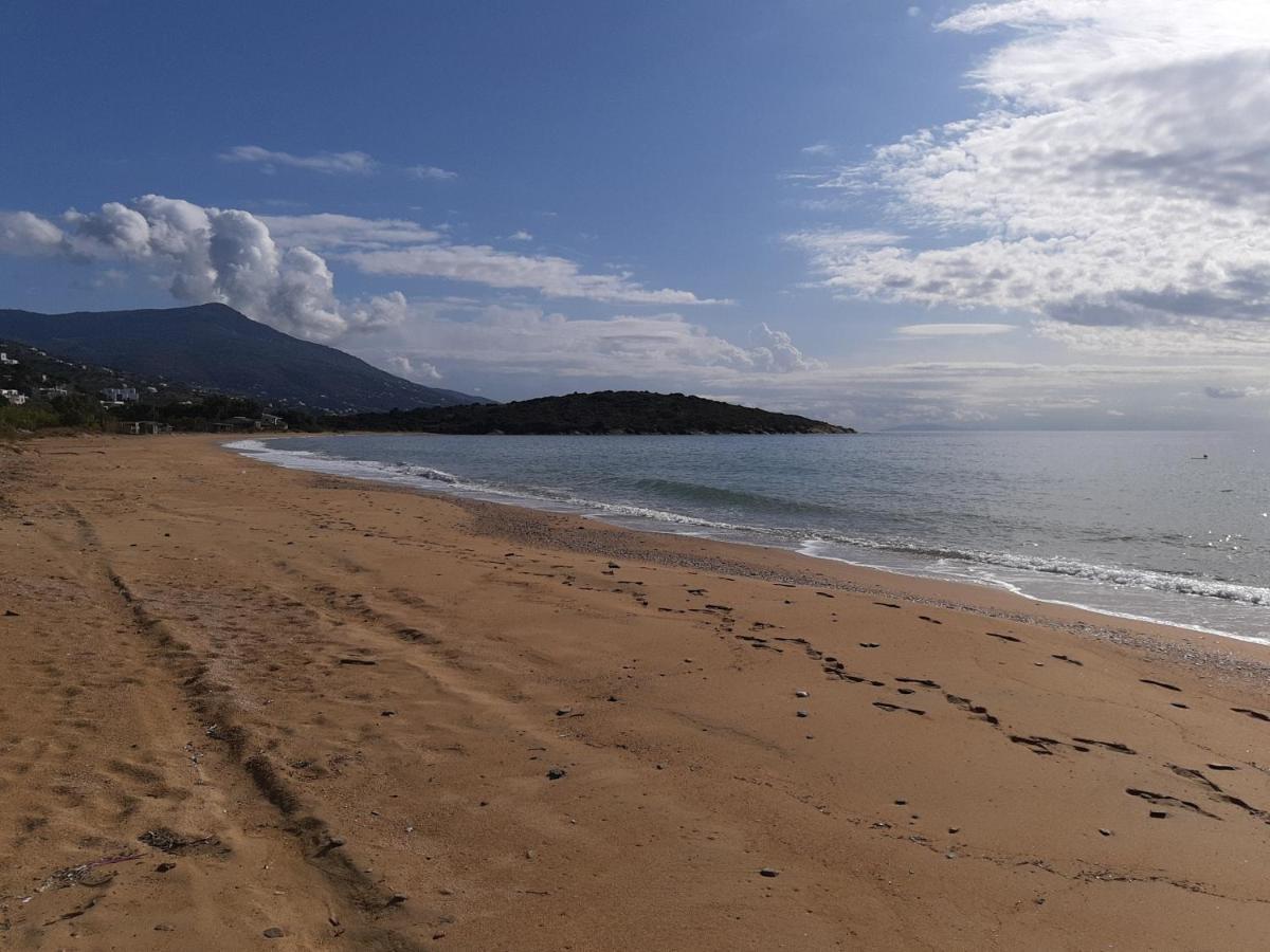 Restia Agios Petros (Andros)