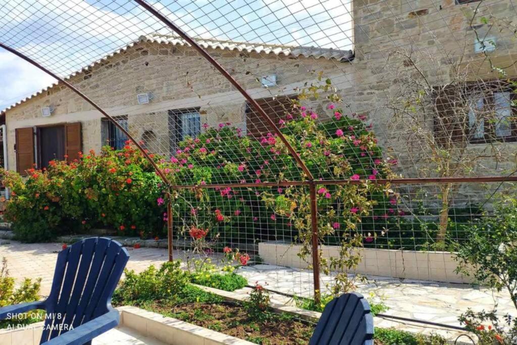 Apartment Stonehouse Olivelia - Afrathias Tympaki