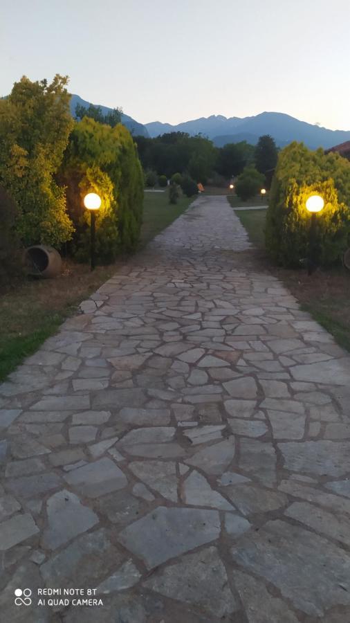 Casa Consta Olympus *