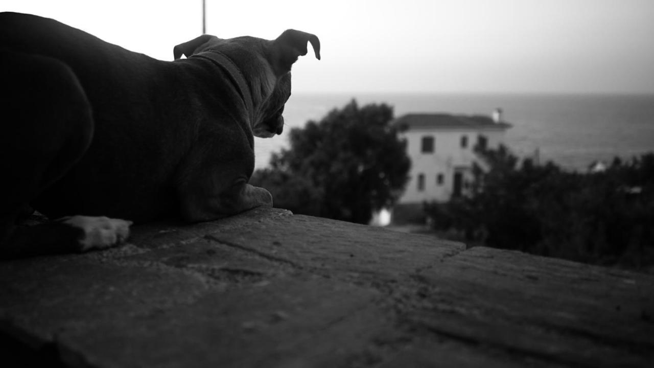 Galini Bed & Breakfast Armenistis (Ikaria)