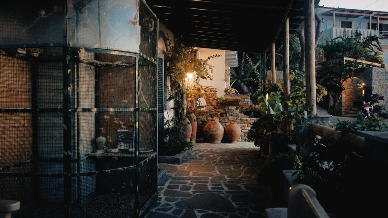 Bed & Breakfast Galini Armenistis (Ikaria)