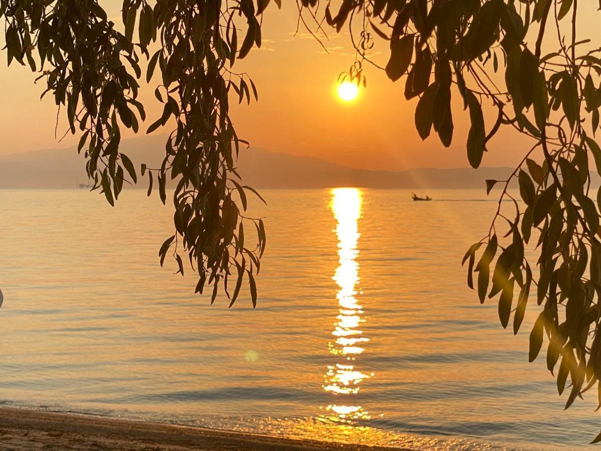 Hotel Stella Skala Rachoni (Thasos)