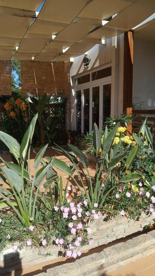 Apartment Giovanni Mare Kourouta
