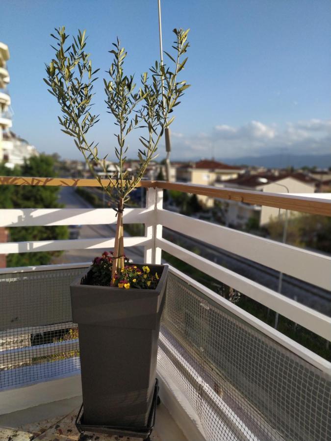 Up Trikala (Thessaly)