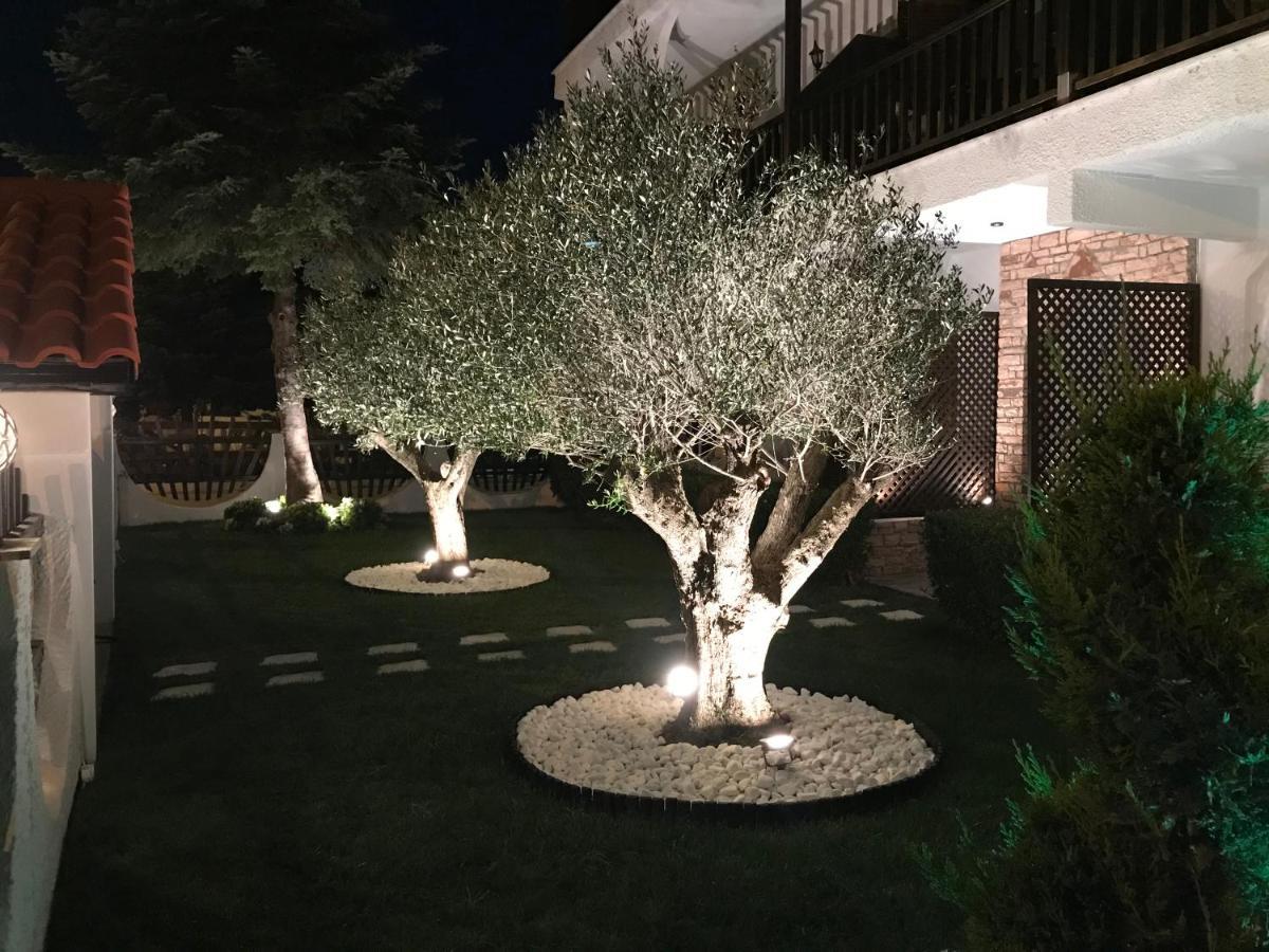 Amaryllis Luxury Guest house