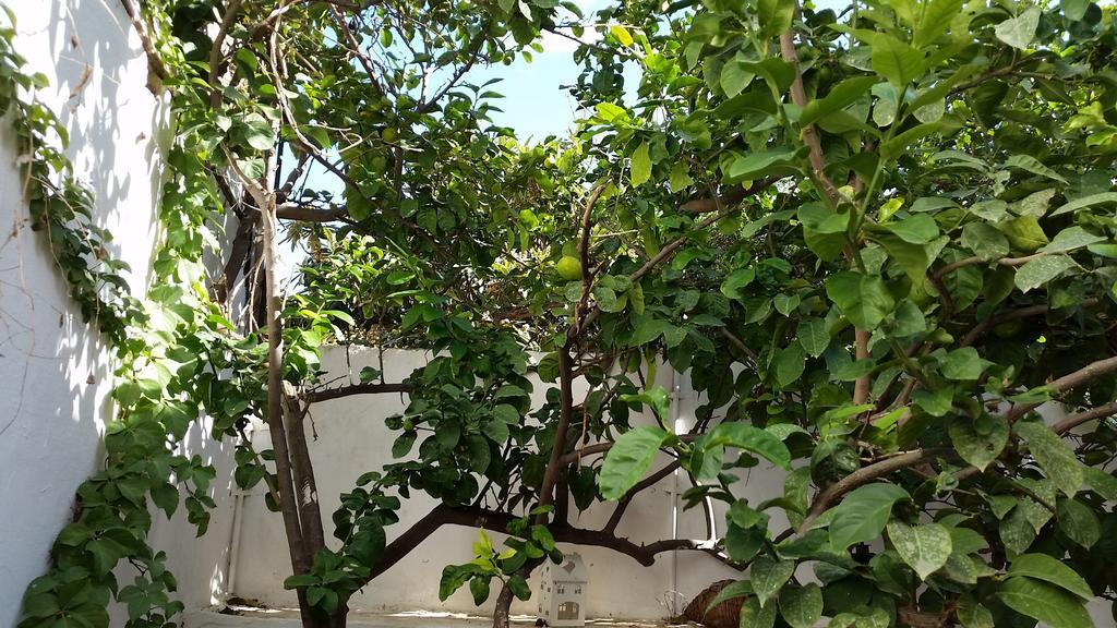 Apartment Studio Lefaki Rethymno (Crete)