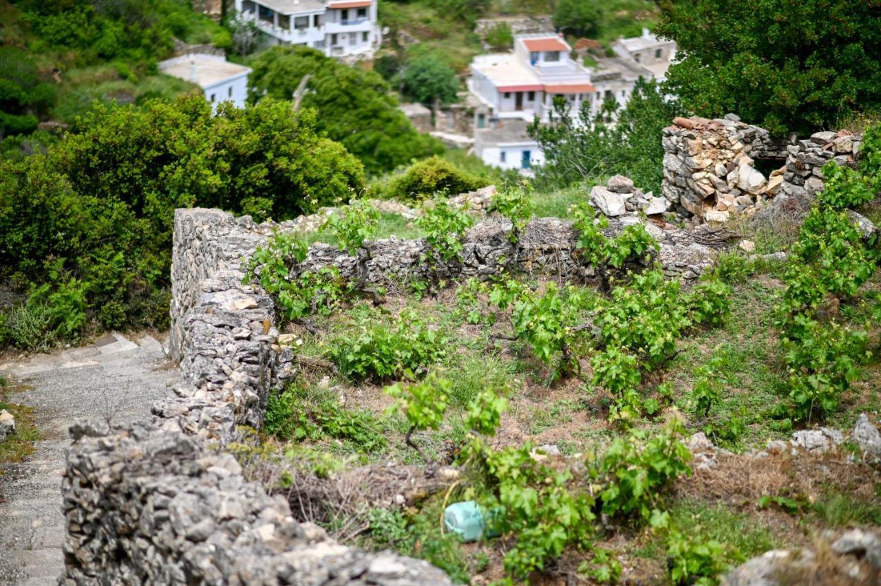 Mespilus House * Koronos