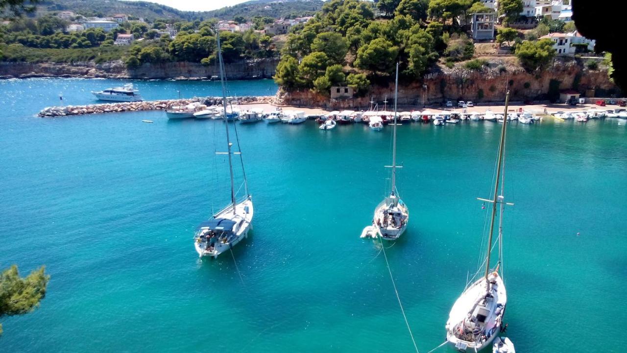 Ikion Eco Boutique 3* Patitiri (Alonnisos)