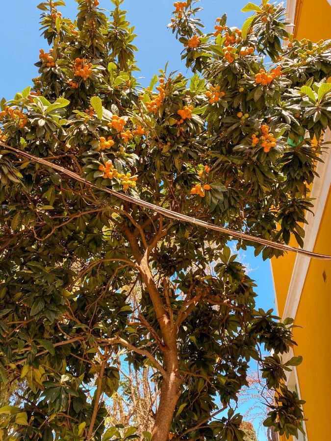 Aparthotel Garden Symi