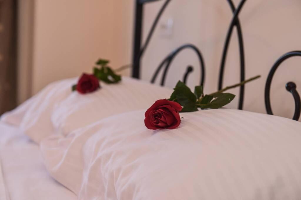 Apartment Dr Vasi Holidays House