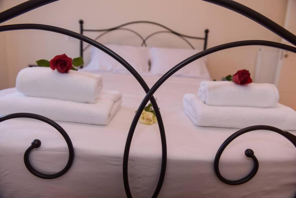 Dr Vasi Holidays House