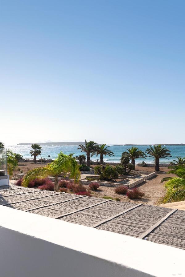 The View 3 *