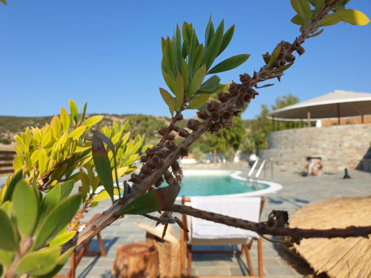 Anassa Cycladic Village *