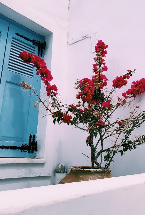 Amfitriti Serifos Apartment Livadi (Serifos)