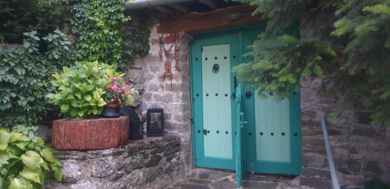 Guest house Traditional Karaouli Papigko