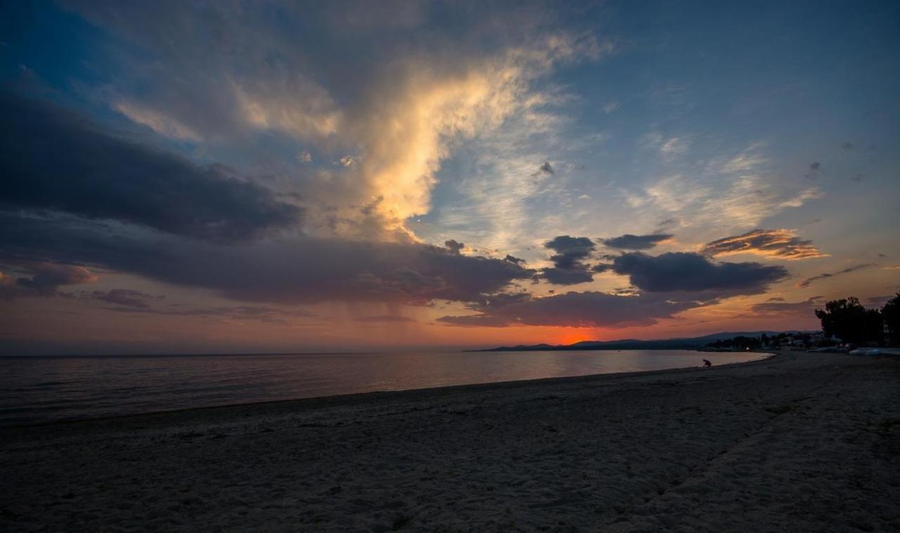 Hotel Studio Nikiti Beach Nikiti (Sithonia)