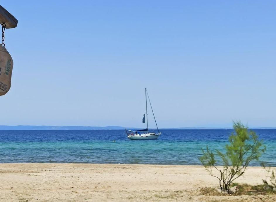 Studio Nikiti Beach Hotel
