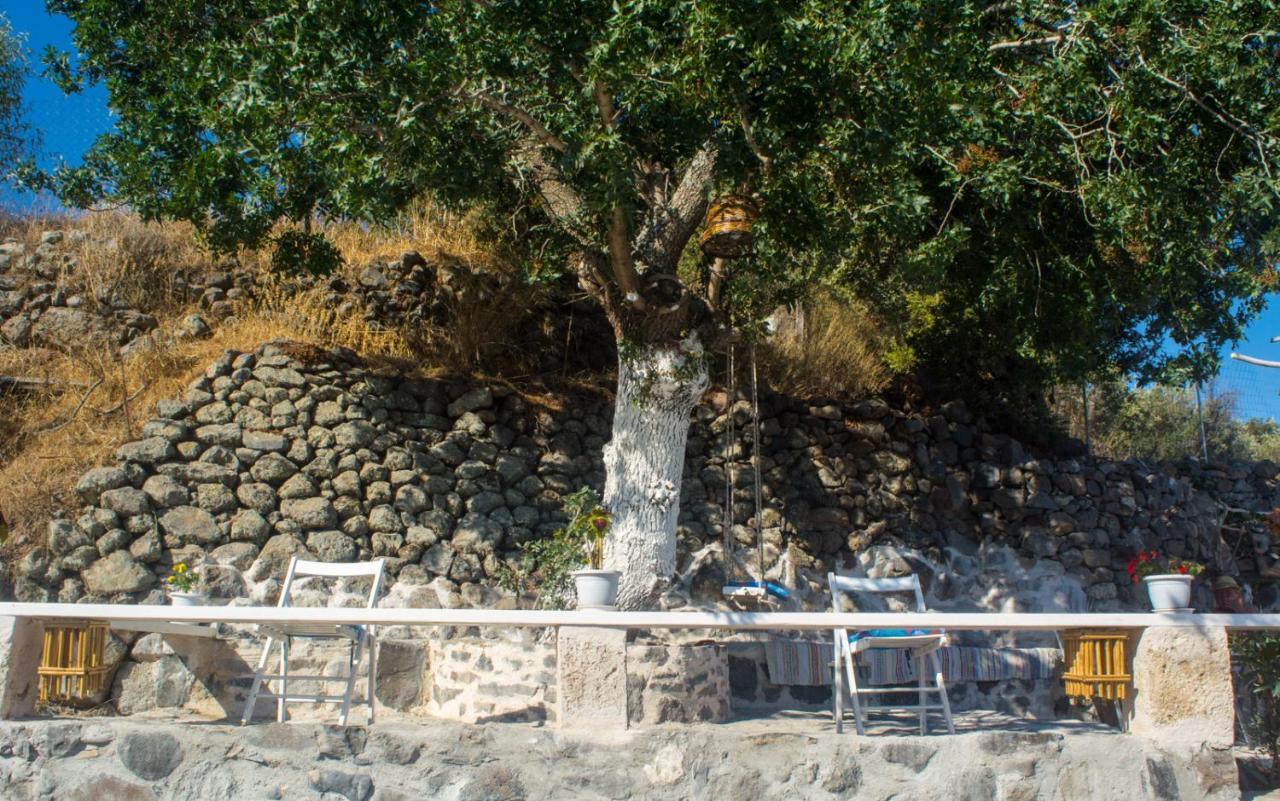 Holiday home Palaiokastro Traditional House *