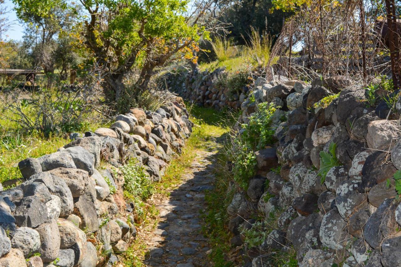 Holiday home Palaiokastro Traditional House Mandraki (Nisyros)