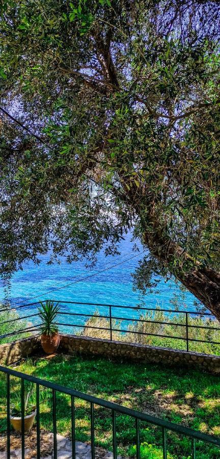 Apartment Fourtuna Agios Ioannis Peristeron (Corfu)