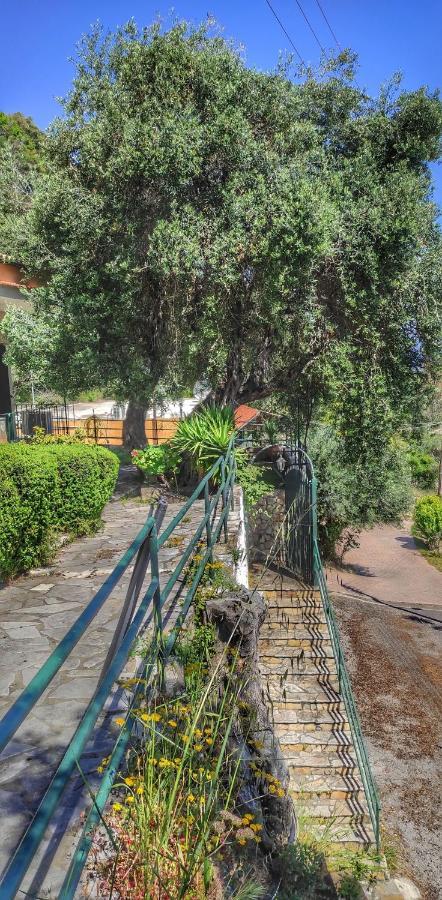 Fourtuna Apartment Agios Ioannis Peristeron (Corfu)
