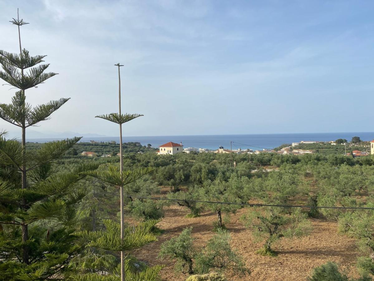 Theros Planos (Zakynthos)