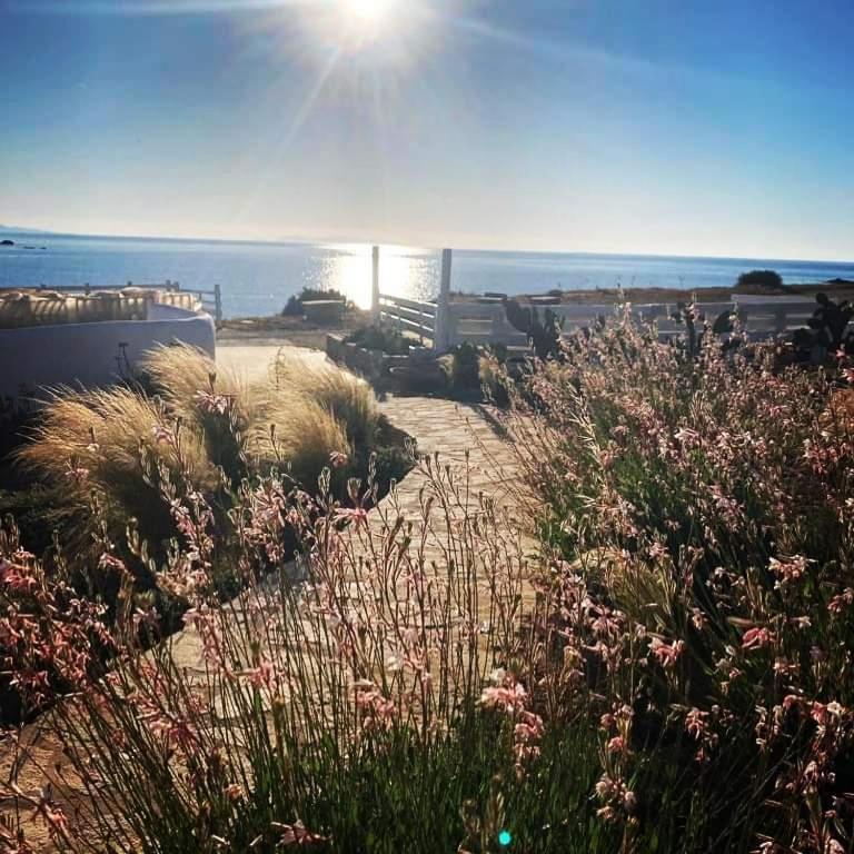 Hotel Sunset & Antiparos