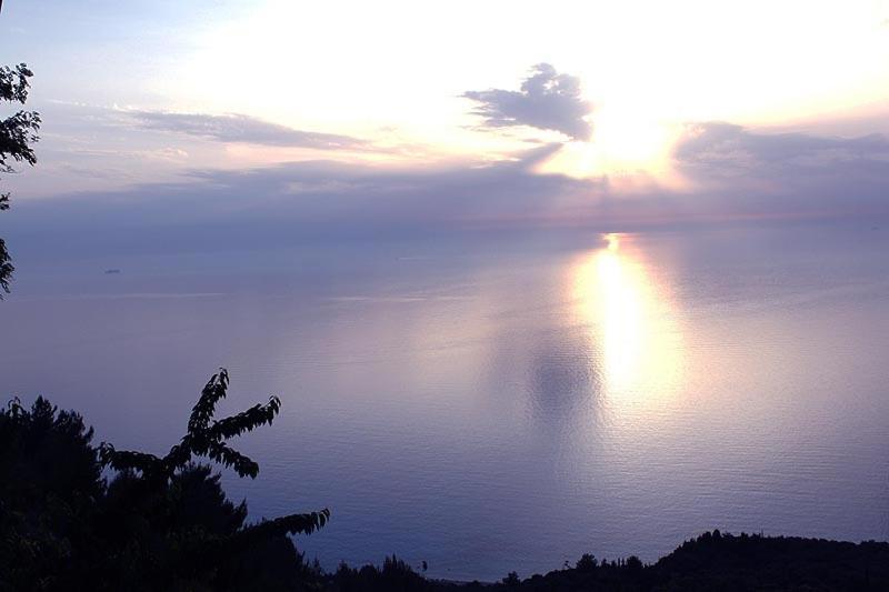 Panoramic View *
