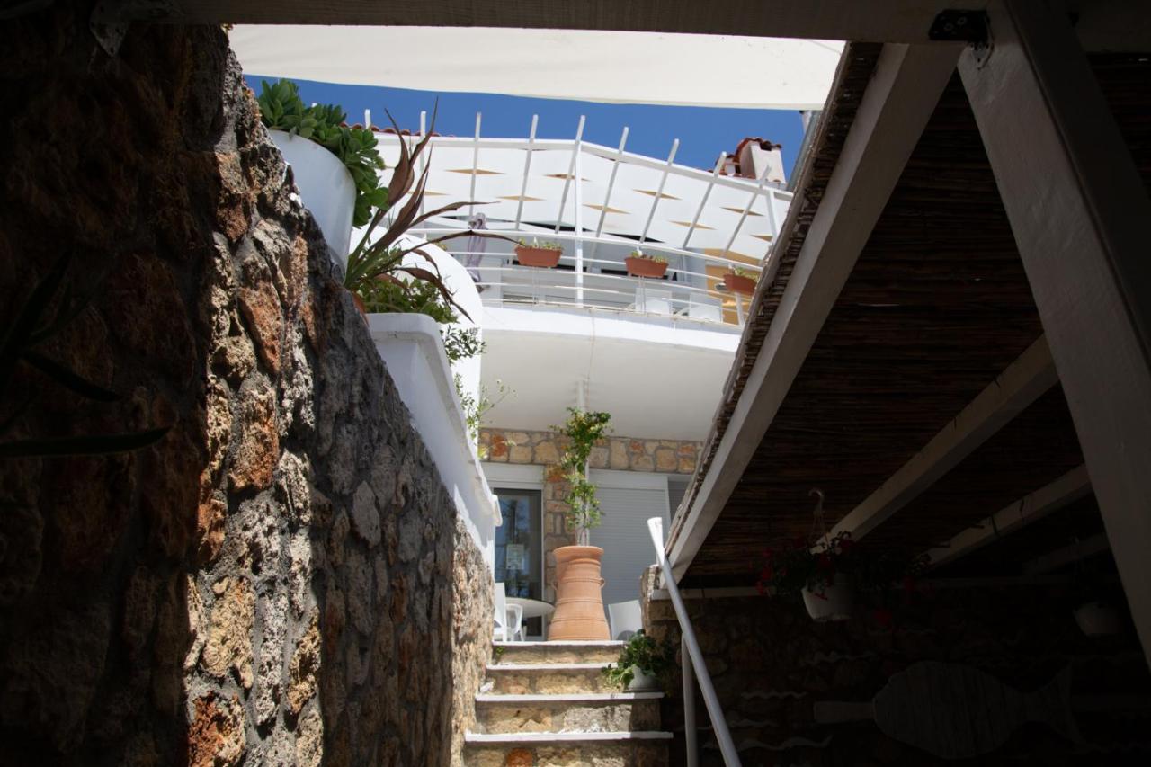 The Ocean House *