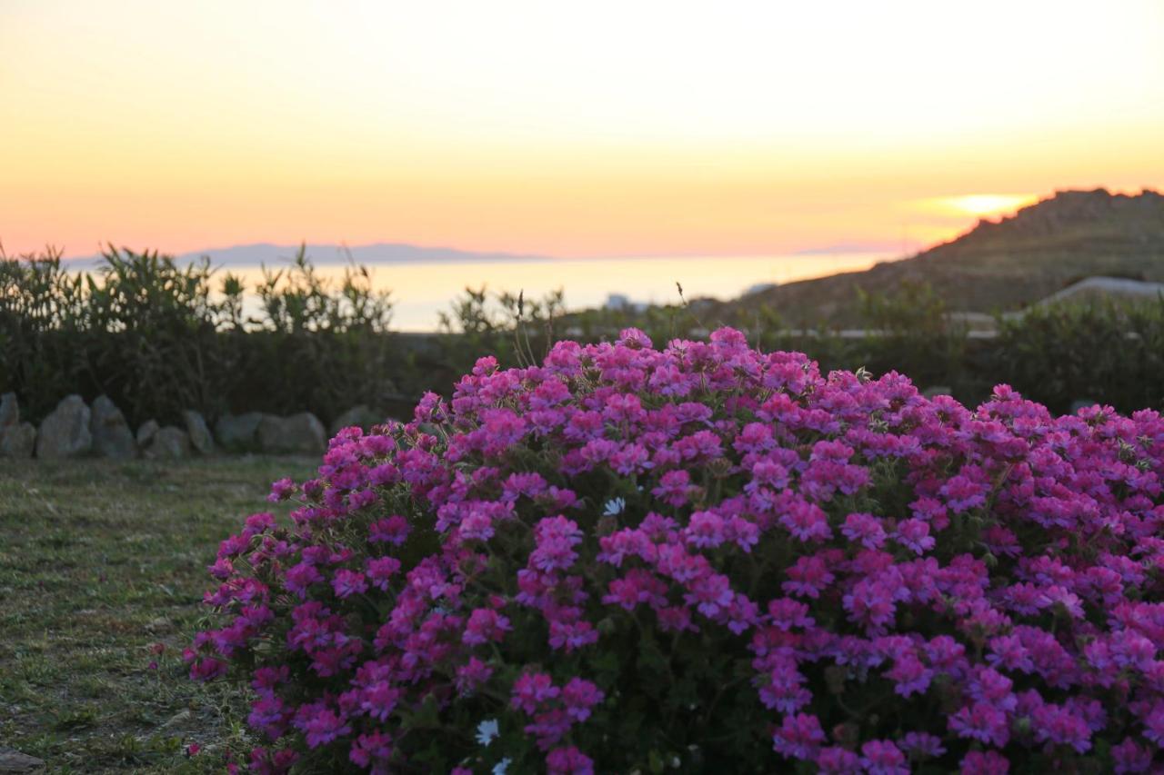 Paradisia Villa *