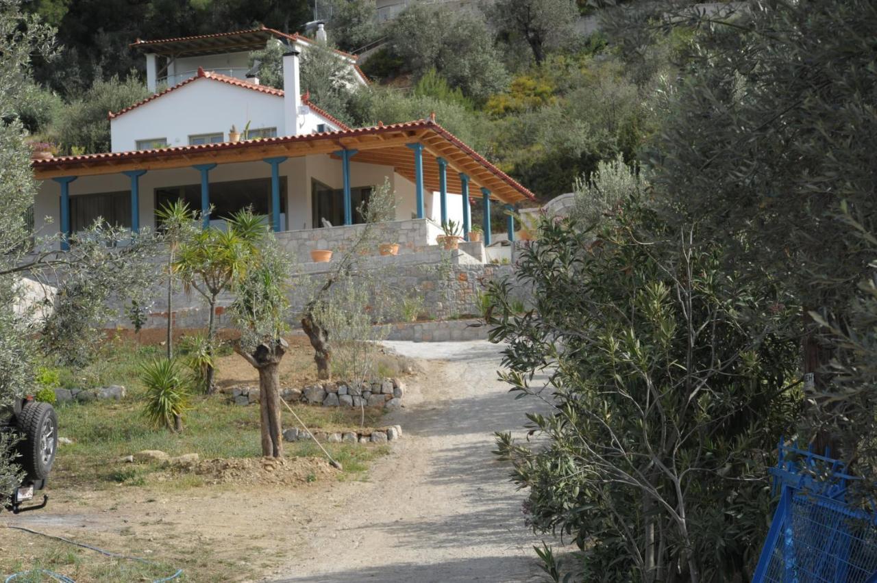 Villa Vanua House