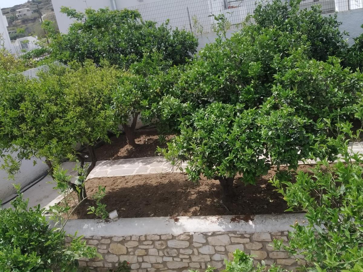 Guest house Aegeon Garden Parikia (Paros)