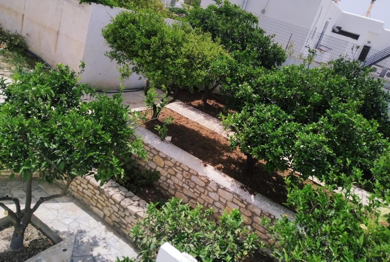 Aegeon Garden 3* Parikia (Paros)