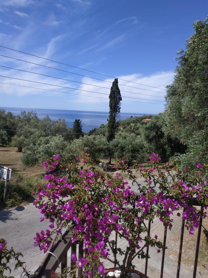 Malibu Glyfada (Corfu)