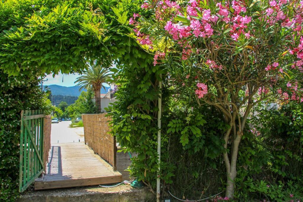 Periklis Guest house Limenas (Thasos)