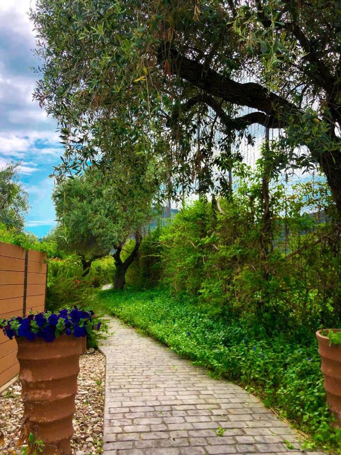 Villa Olive Dream Thassos Luxury