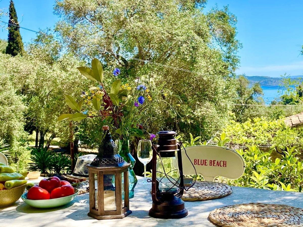 Eva With Private Pool By Dadovillas Villa *