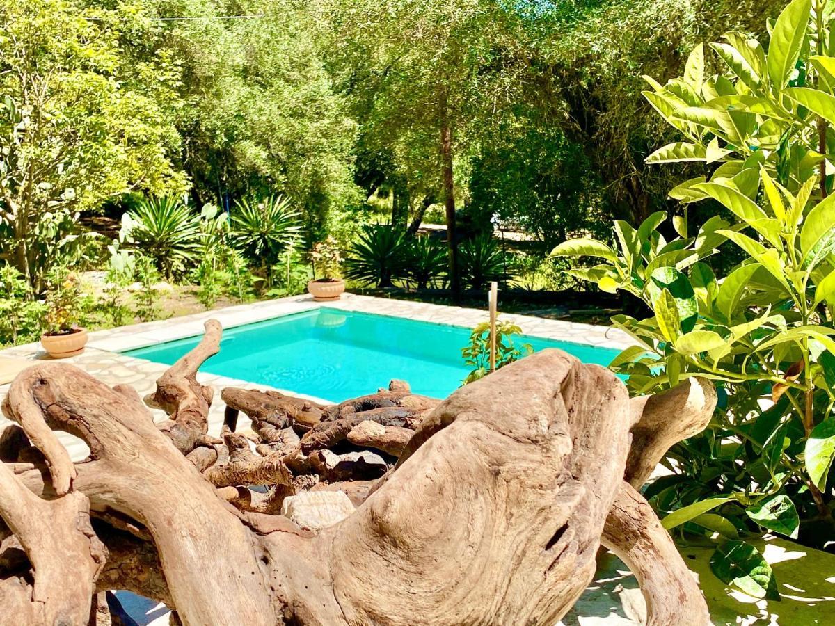 Eva With Private Pool By Dadovillas