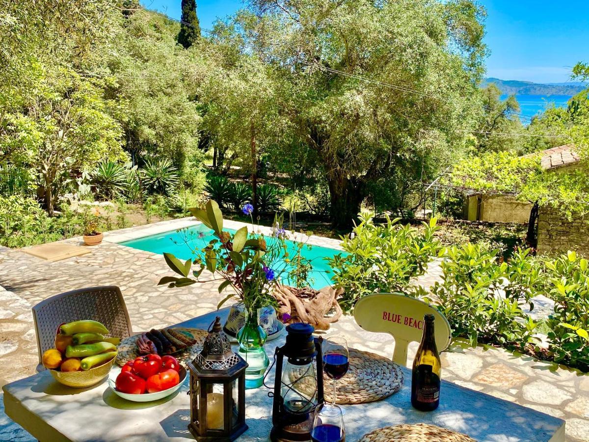Eva With Private Pool By Dadovillas