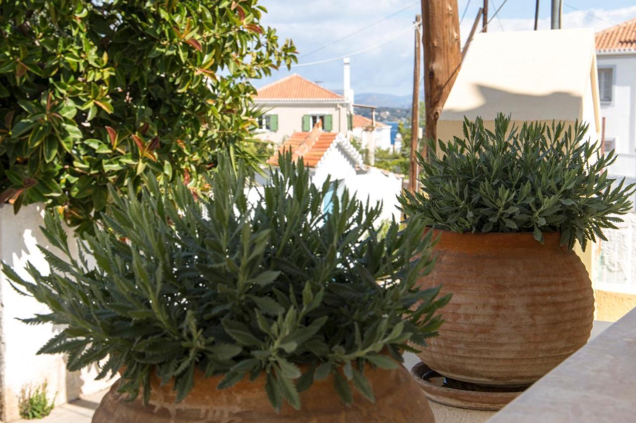 Mostra Spetses Town