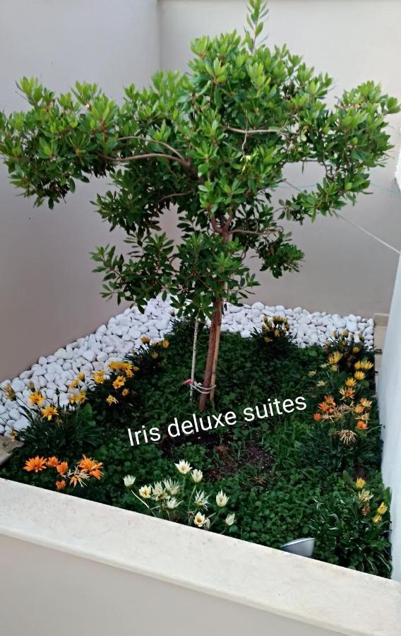 Iris Deluxe 2